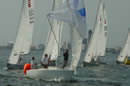 group of Sonar sail boats courtesy of SCA